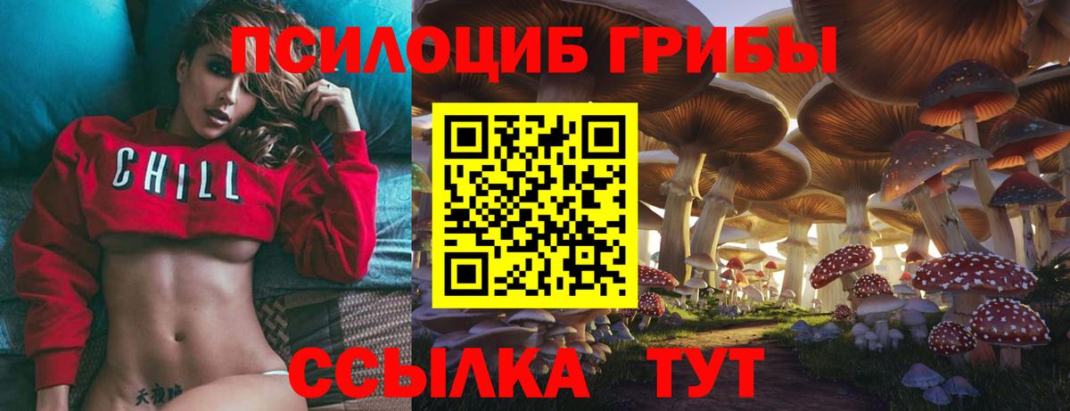 цены наркотик  Вход с VPN  Котлас  Галлюциногенные грибы мицелий 